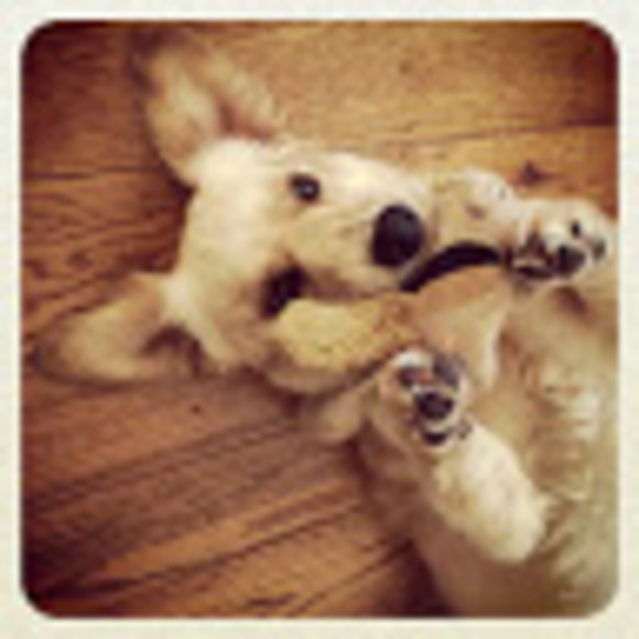 Meet your Posher, Joseph - Picture 1 of 1